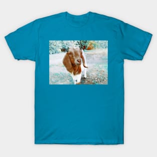 Goat-Boer-1Brm T-Shirt